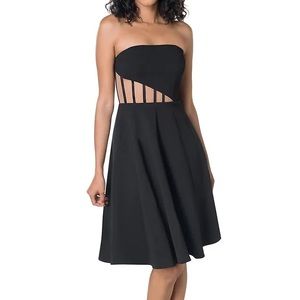 Dress The Population Black Mesh Corset Strapless Fit and Flare Anneli Dress